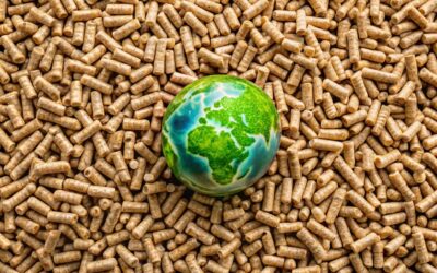 Pellet e Ambiente: Un’Analisi dell’Impatto Ecologico