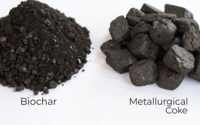 Biochar: Il Sostituto del Coke Metallurgico per l’Industria del Futuro