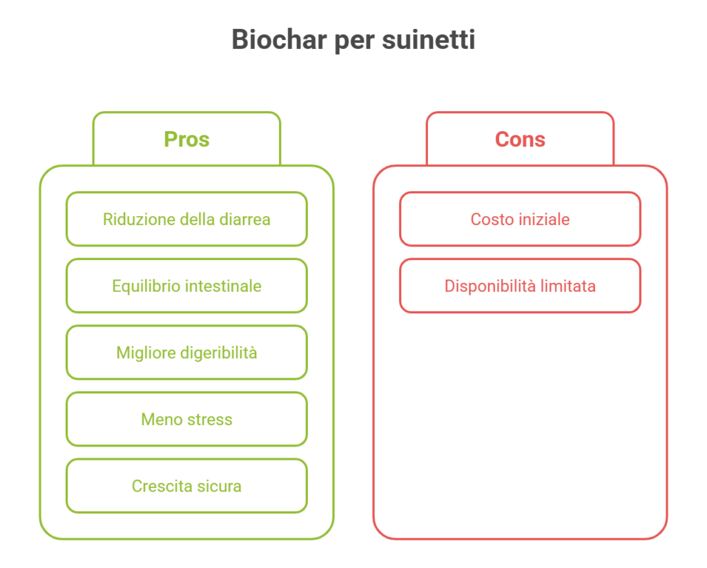 biochar per suinetti