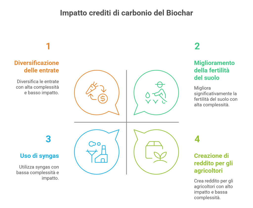 impatto crediti di carbonio del biochar