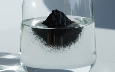 Nano-Biochar: La Rivoluzione per il Risanamento Ambientale